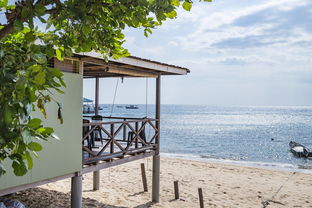 kaiyun官方网站-绿色场馆覆盖智能环保系统，推动全球体育绿色低碳行动，绿色场馆建设