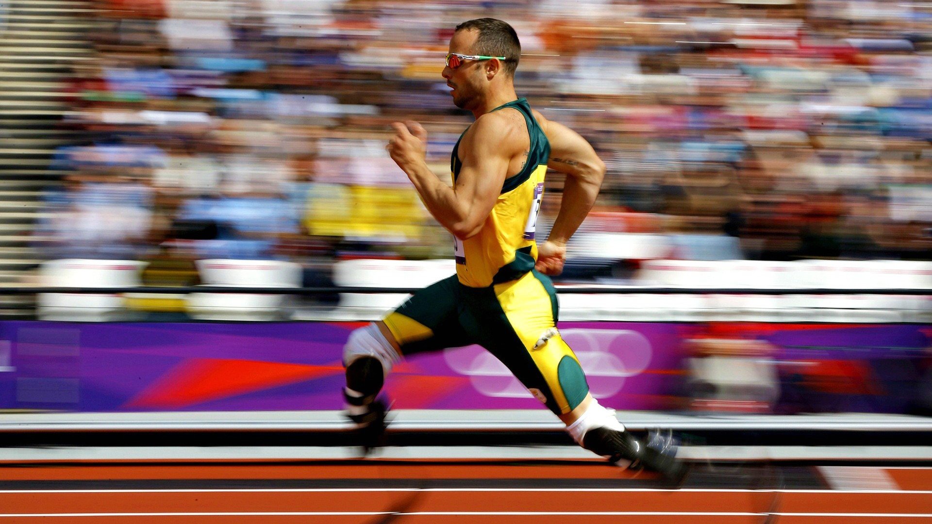 kaiyun开云·官方网站-体育用品销量报告显示户外产品需求增长，户外用品预计市场占有率